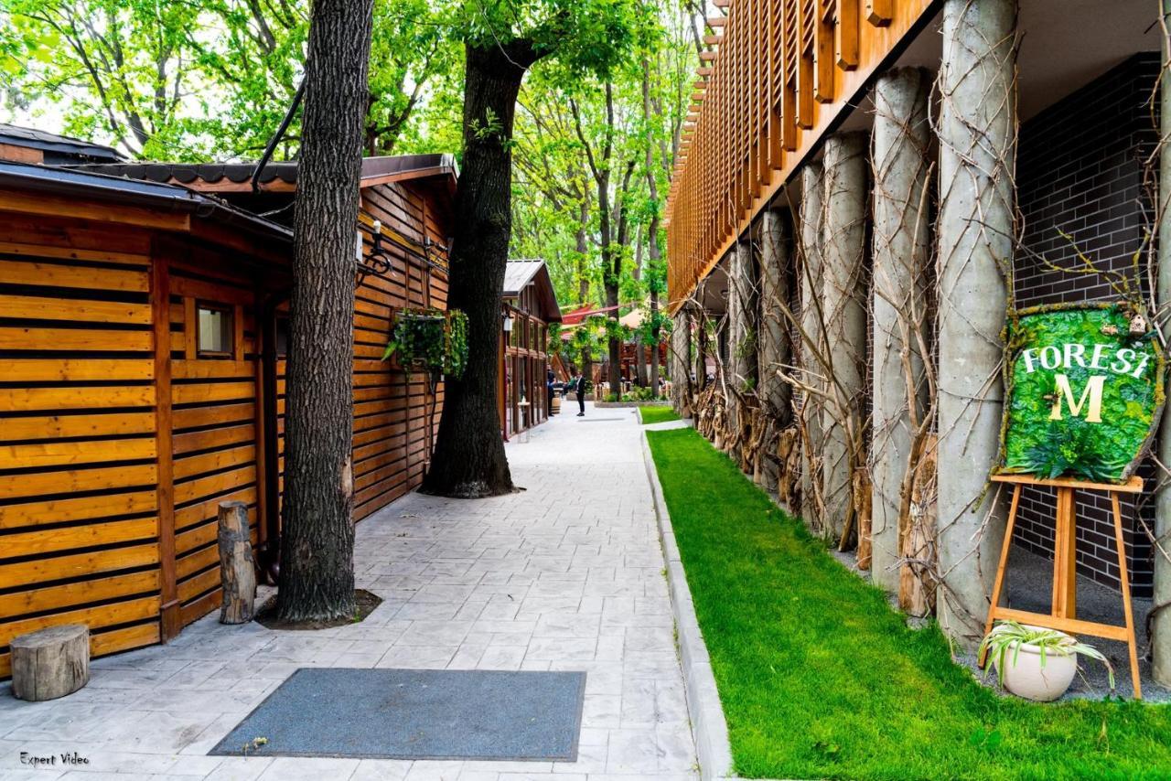 Forest M,Constanta Valu lui Traian Zewnętrze zdjęcie
